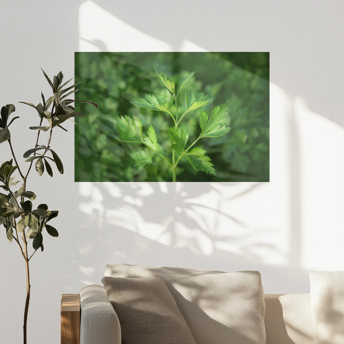 PO-090W060