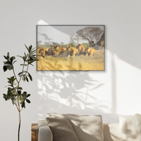 PB-120W080