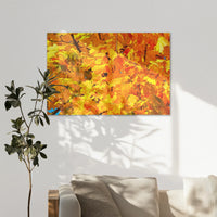AC-120W080