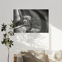 PO-120W080