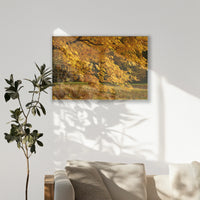 PS-120W080