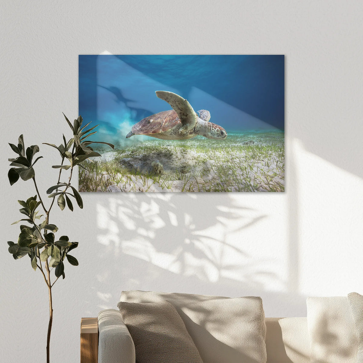 AC-120W080