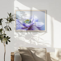 PN-060W040