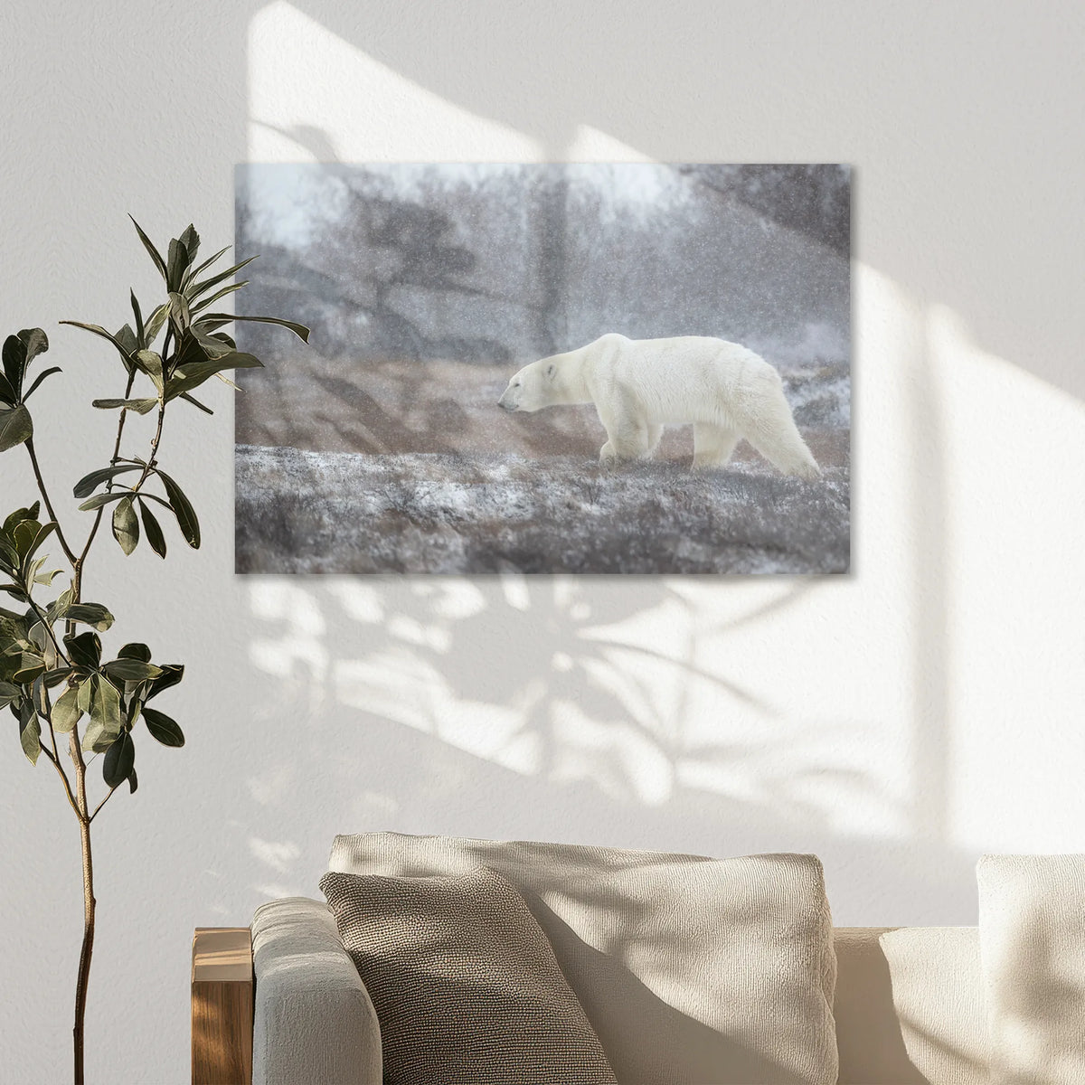 AL-075W050