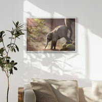 PW-093W062