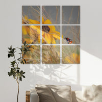 LW-270Z270