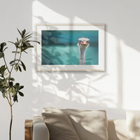 PNP093W062