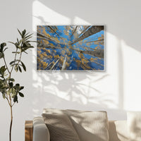 PS-093W062