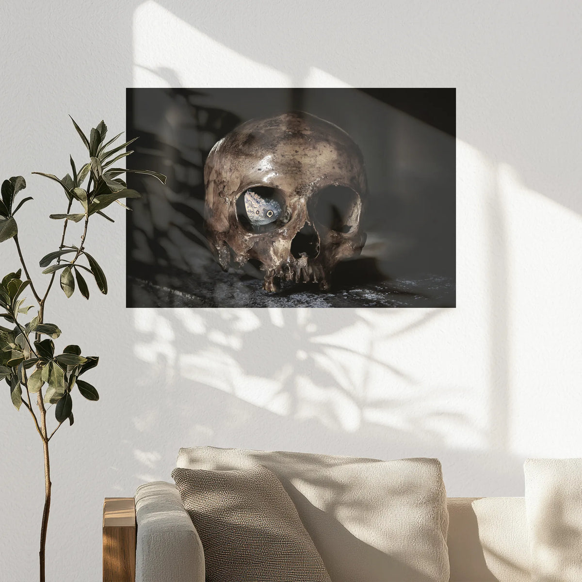 PO-075W050