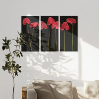 AC-120R080