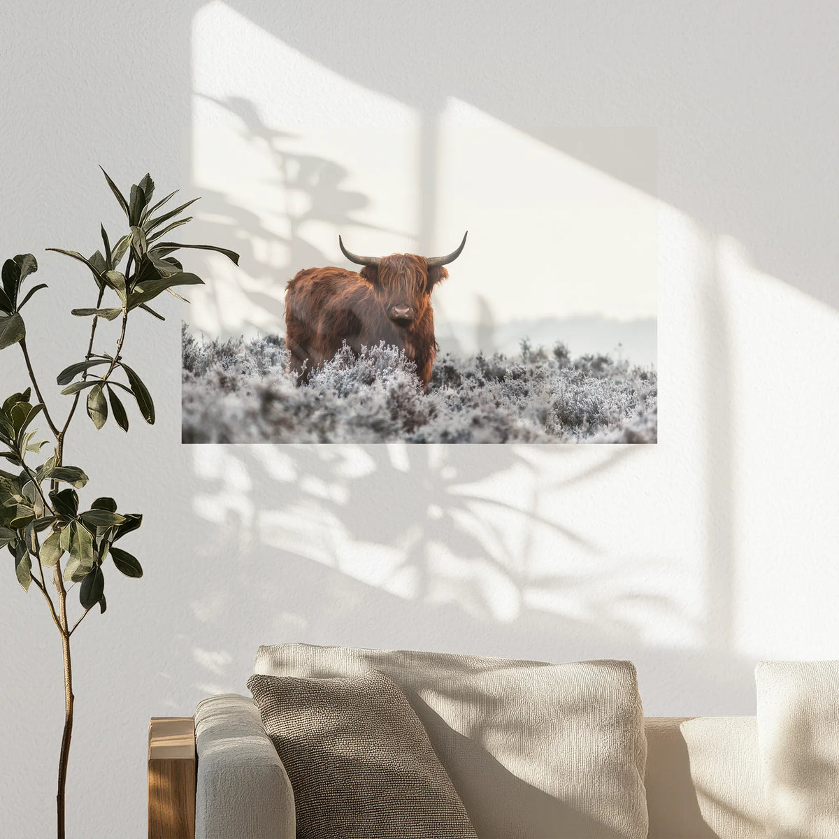 PO-075W050