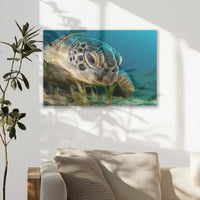 AC-030W020