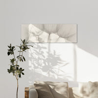 AC-150P050