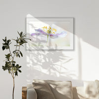 PSP120W080