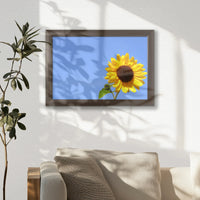 LWN030W020