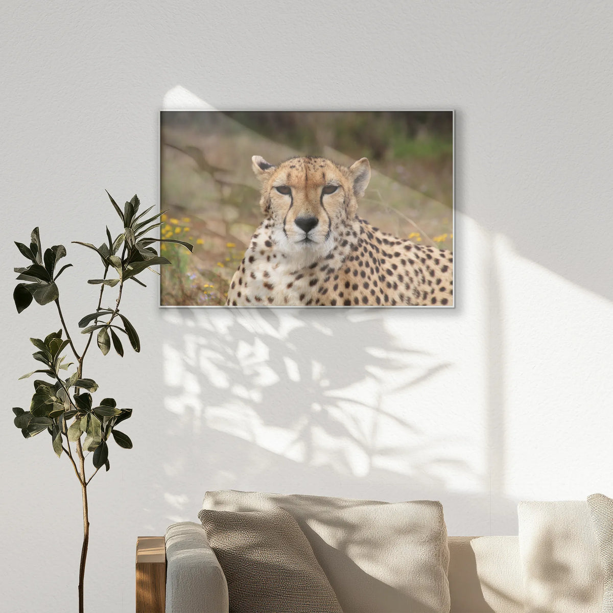 PS-120W080