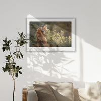 PSP120W080