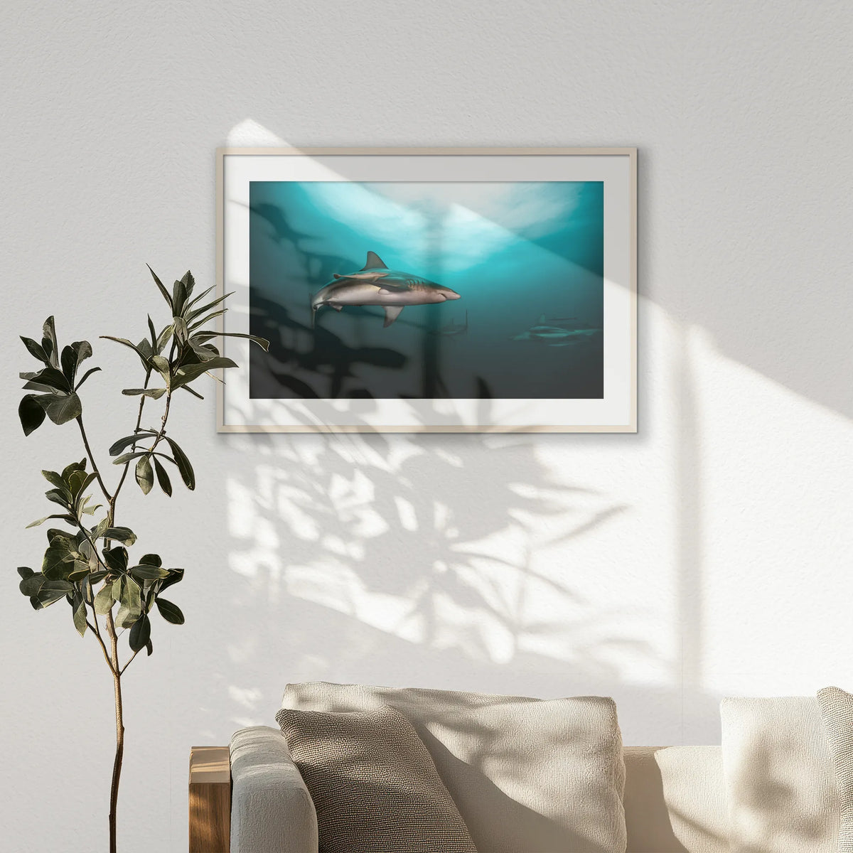 PNP100W070