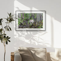PBP093W062
