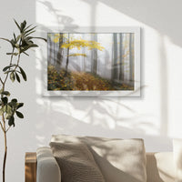 LWW030W020