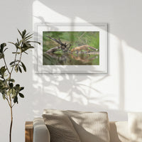 PWP060W040