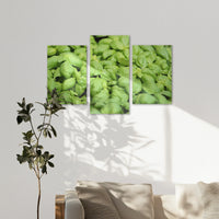 AC-150T100