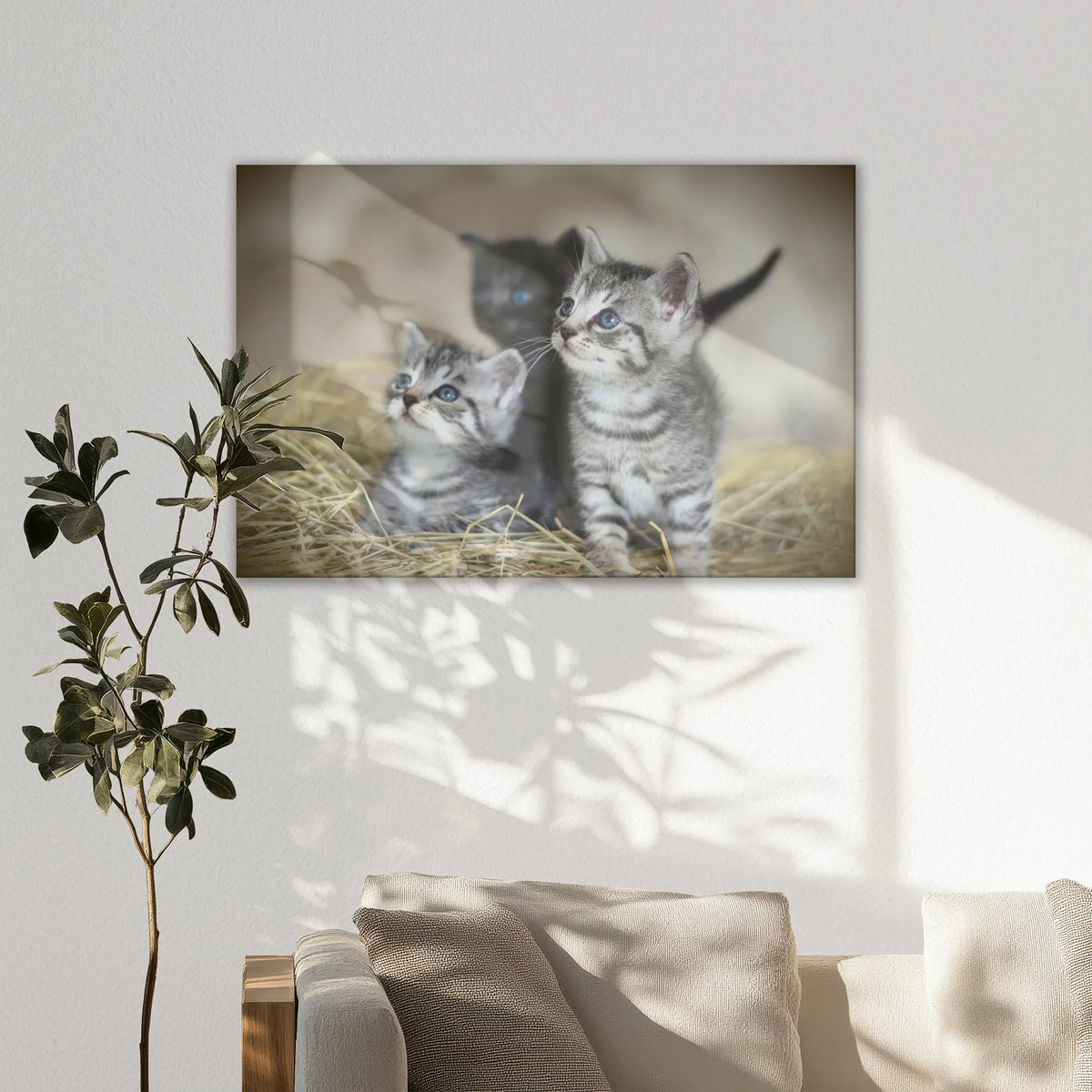 LW-120W080