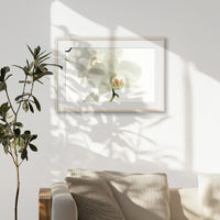 PNP093W062