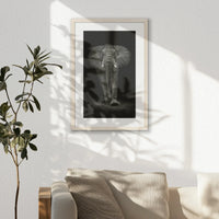 PNP040W060