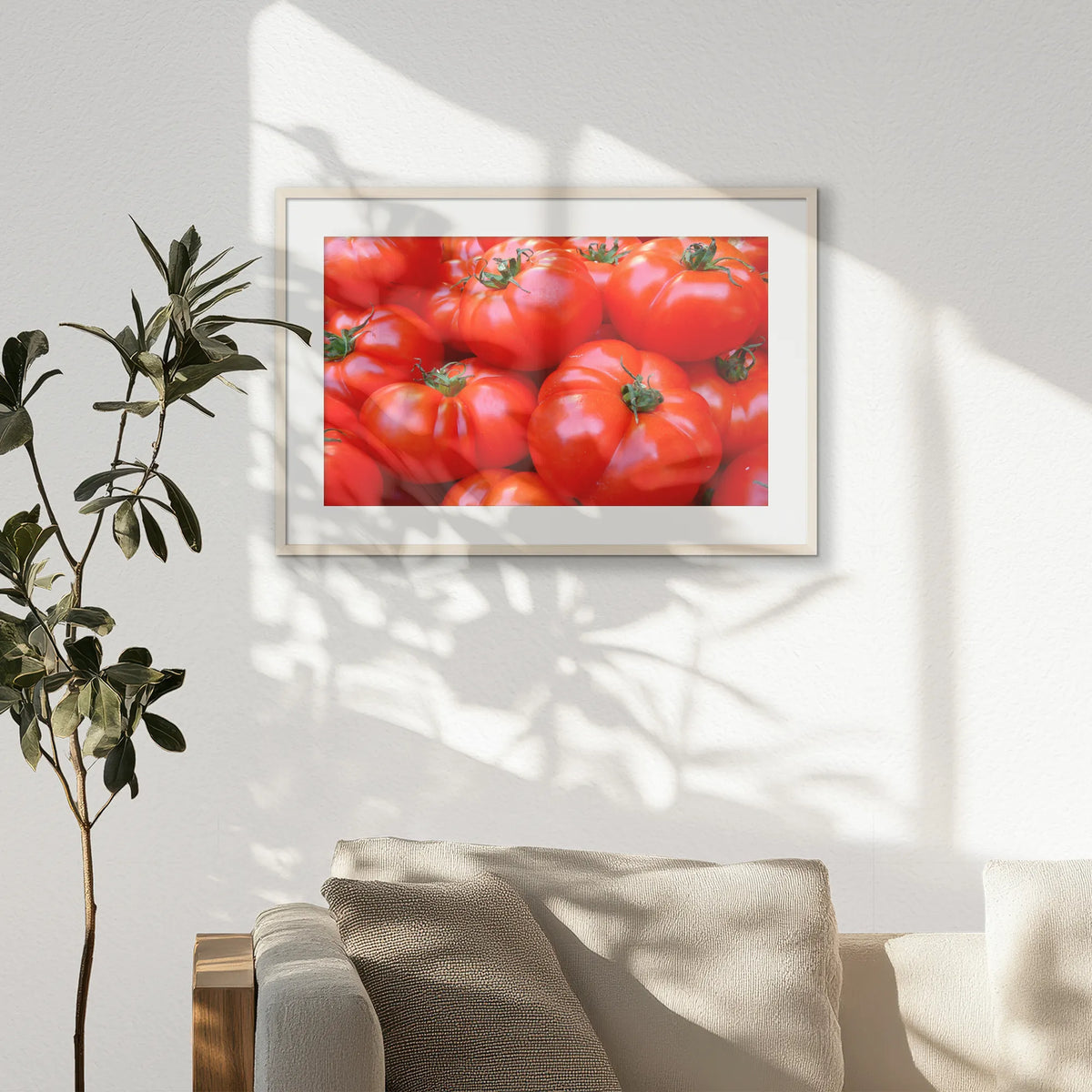 PNP093W062