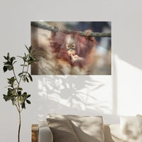 PO-120W080