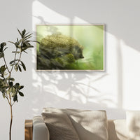 PN-093W062