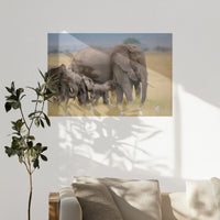 PO-120W080