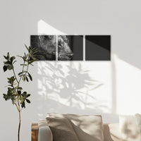 LW-120S040