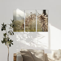 AC-120R080