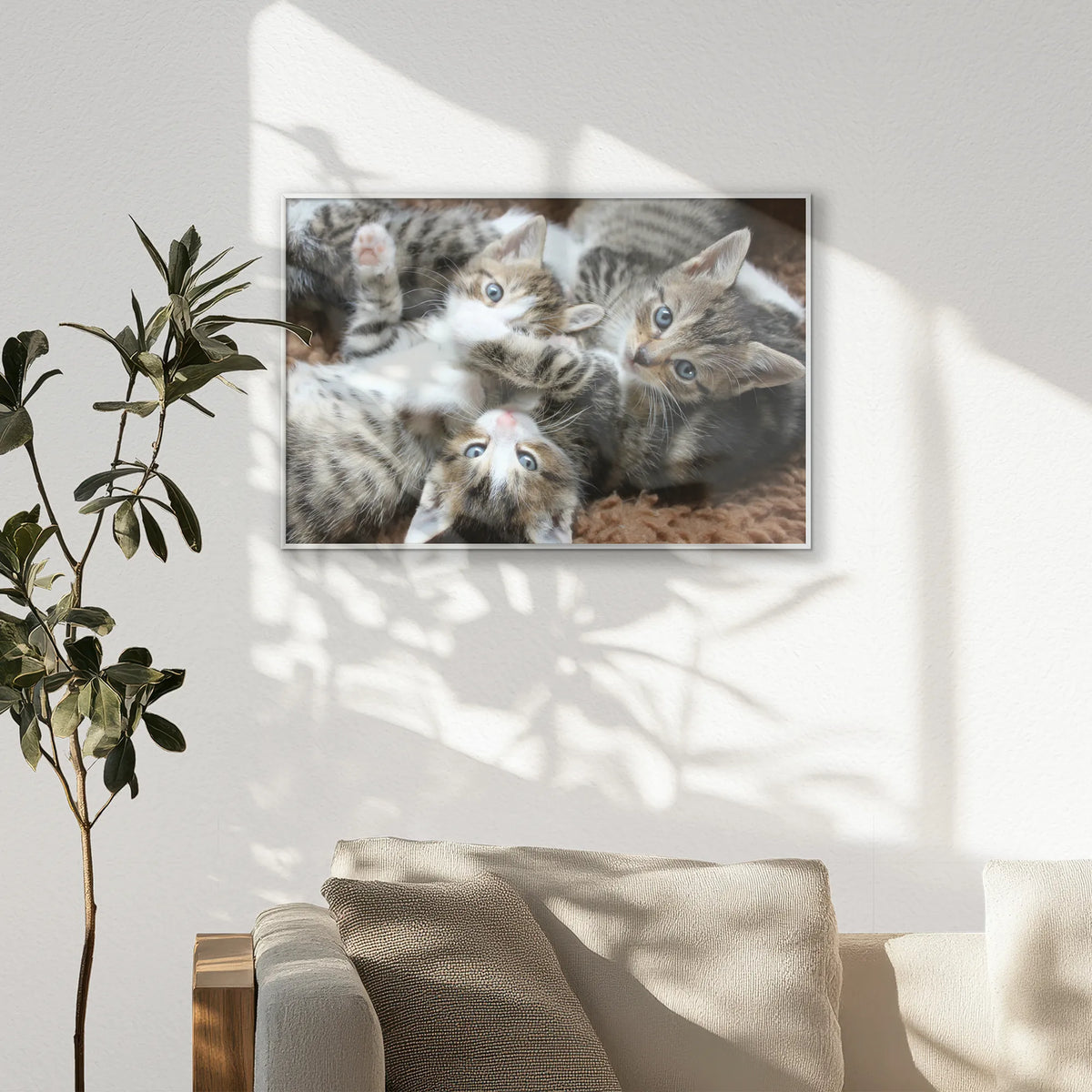 PS-093W062