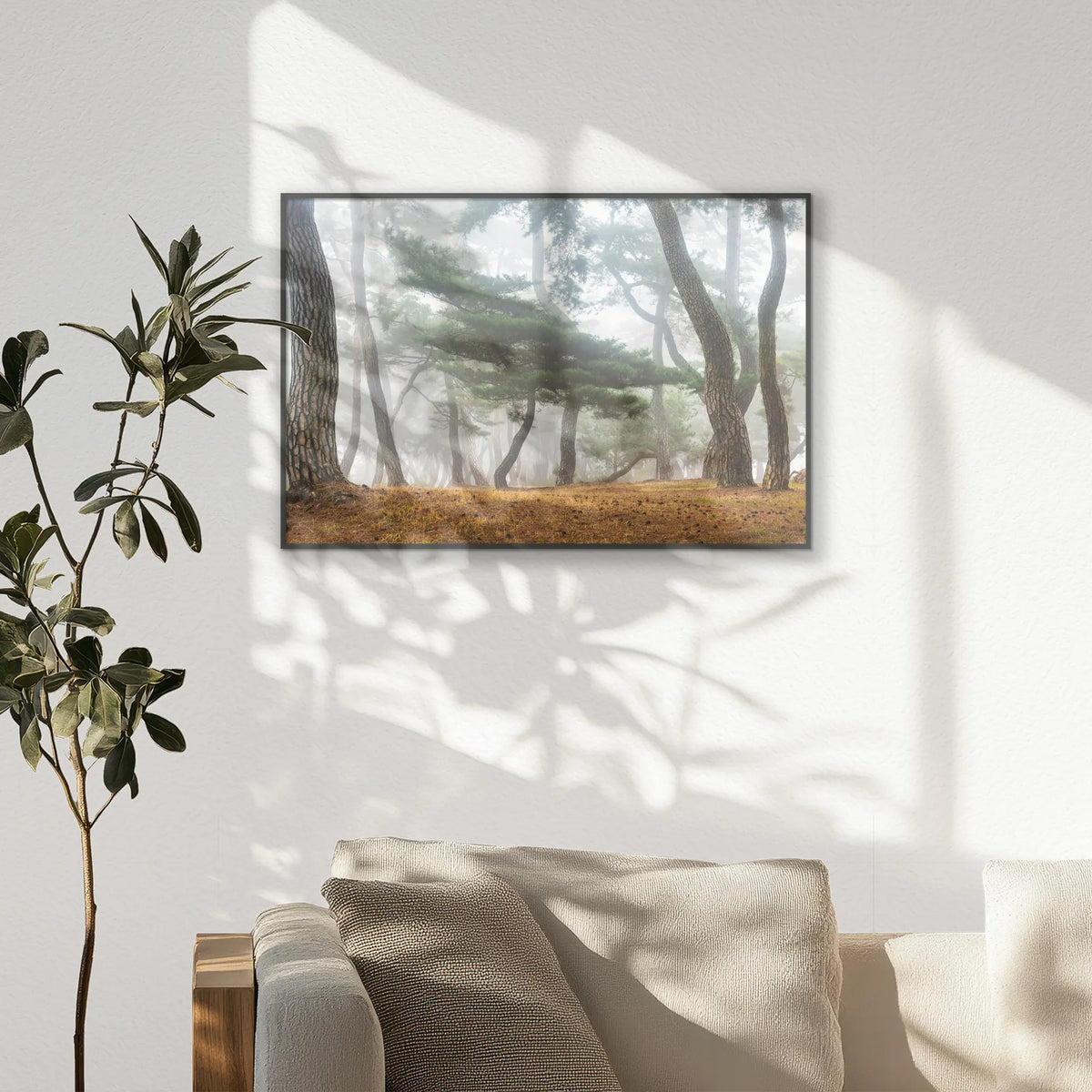 PB-093W062