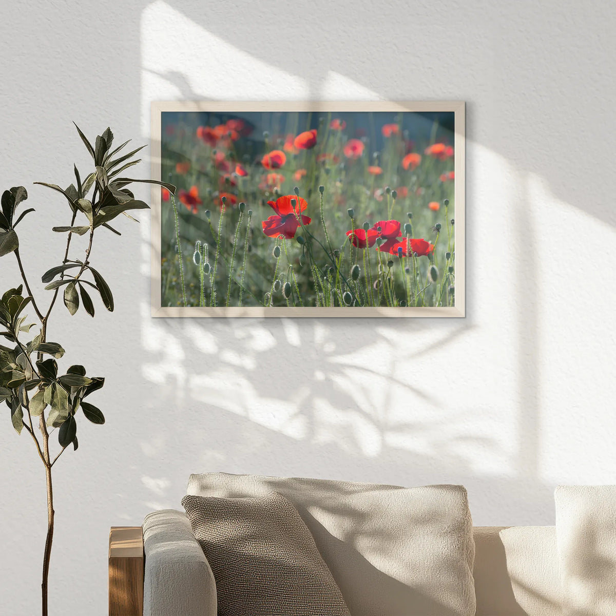PN-060W040