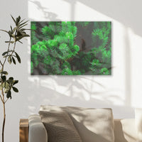 AC-030W020