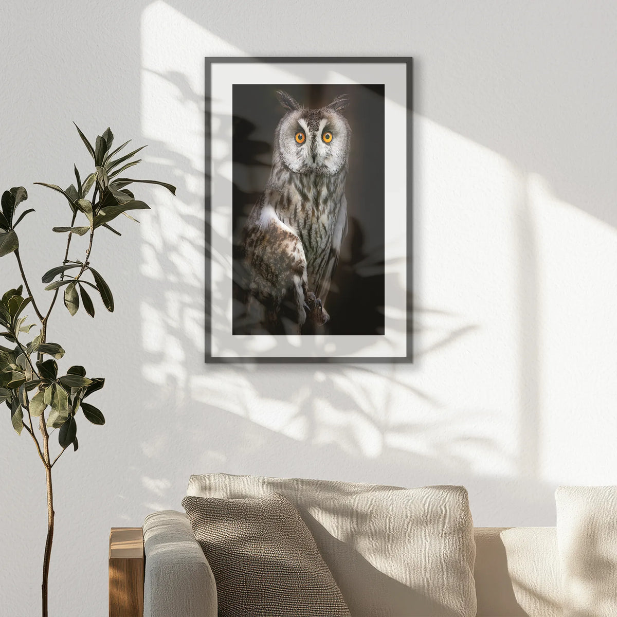 PKP062W093