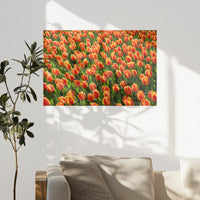 PO-060W040