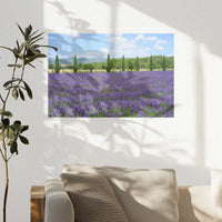 PO-030W020