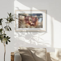 PNP060W040