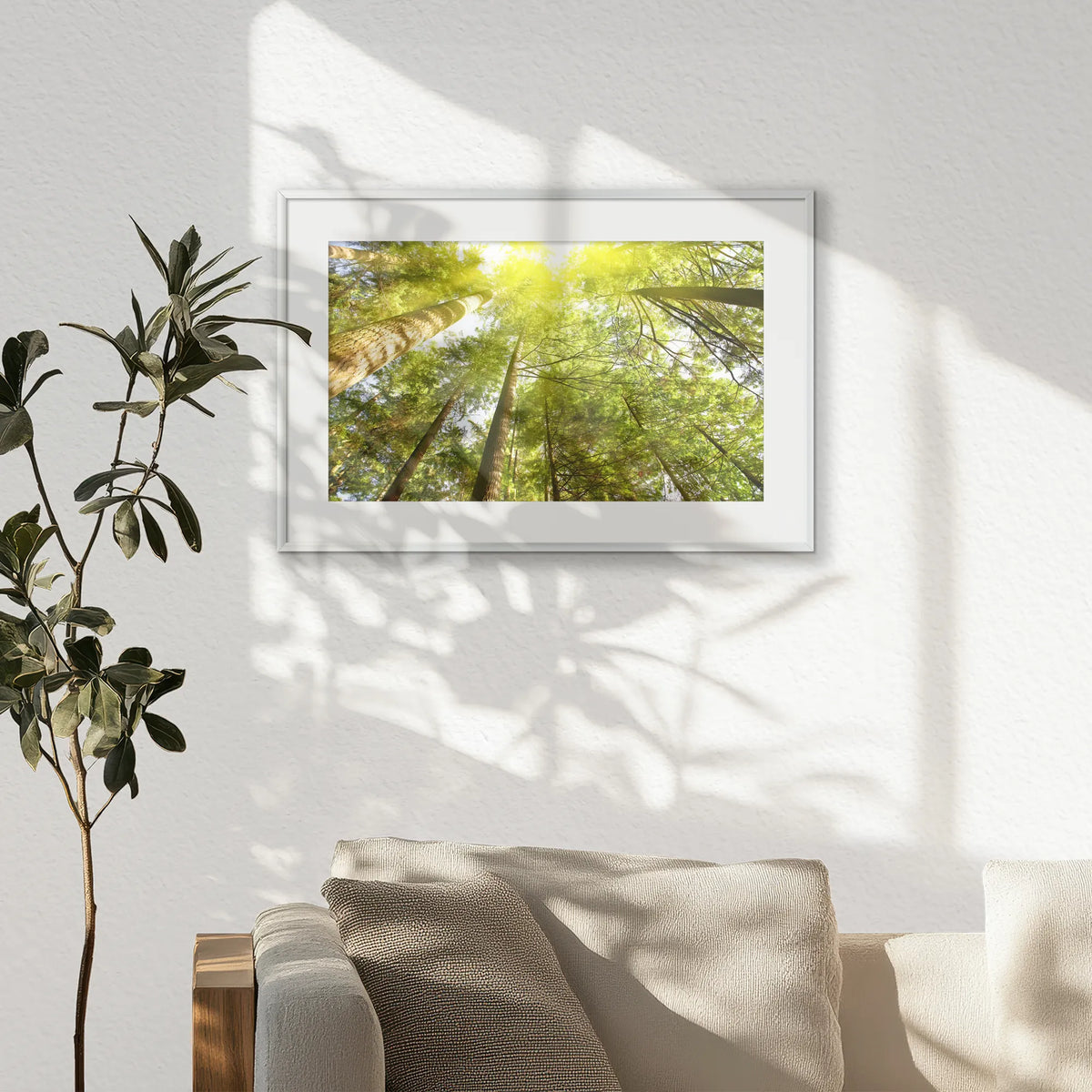 PSP060W040