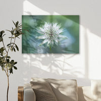 AL-060W040