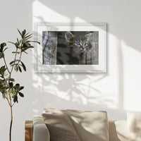 PWP060W040